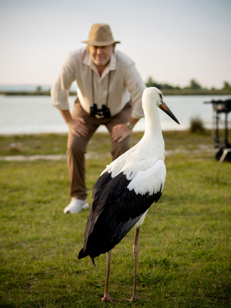 Naturerlebnisse, so weit das Auge reicht: Eine Auszeit im Burgenland bietet die Möglichkeit, Tiere ganz nah in ihrem natürlichen Lebensraum beobachten
zu können. – ©Burgenland Tourismus/Andreas Hafenscher